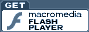 click here to download the latest flash plug-in